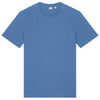 Color Blue Spruce