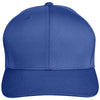 Color Royal Blue