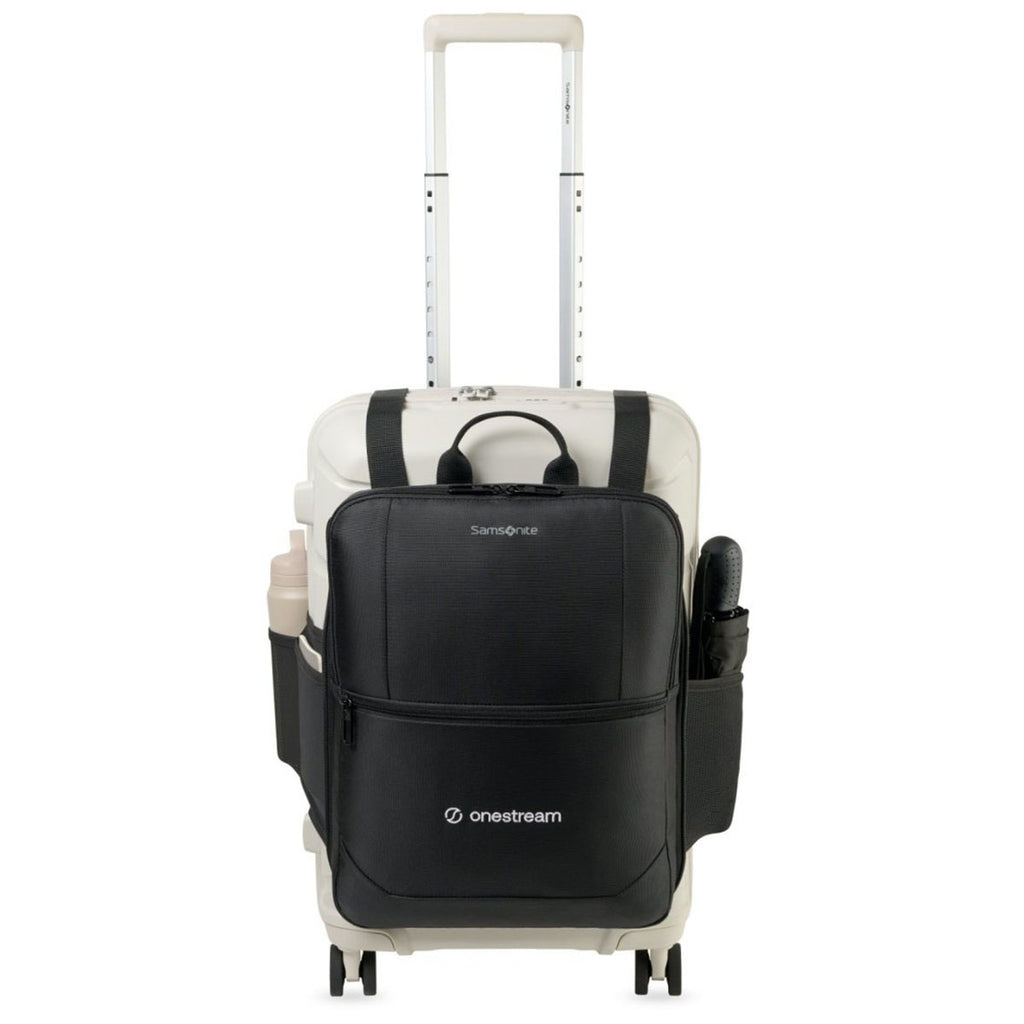 Samsonite Stone Grey Outline Pro Carry-On and Convertible Backpack Set