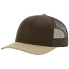 Color Brown
