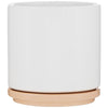 ETS Express Vanilla Blume 22oz Ceramic Planter