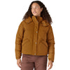 Patagonia Women's Shelter Brown Downdrift Jacket