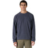 Patagonia Men's Smolder Blue Micro D Fleece Crewneck
