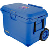 Color Cobalt