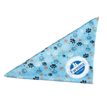 Evans Custom Sublimated RPET Bandana