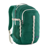 Patagonia Gem Green Refugio Day Pack 26L