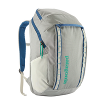 Patagonia Birch White Hole Pack 32L
