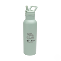 Hit Sage 17 Oz. Hailey Recycled Stainless Steel Bottle