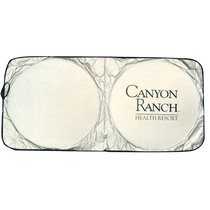 Good Value Silver Sun Shade
