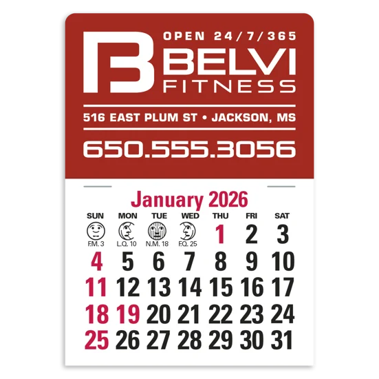 Triumph Calendars Orange Vinyl Press-N-Stick Standard Calendar