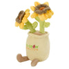 Chelsea Teddy Bear Sunflower Zenzies 7