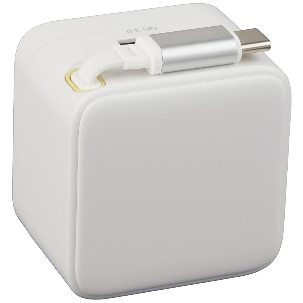 Leed's White 20W Wall Charger with Wall Plug