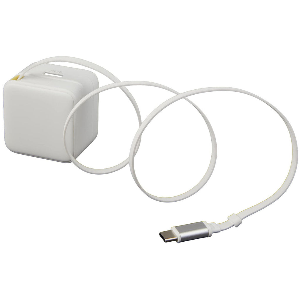 Leed's White 20W Wall Charger with Wall Plug