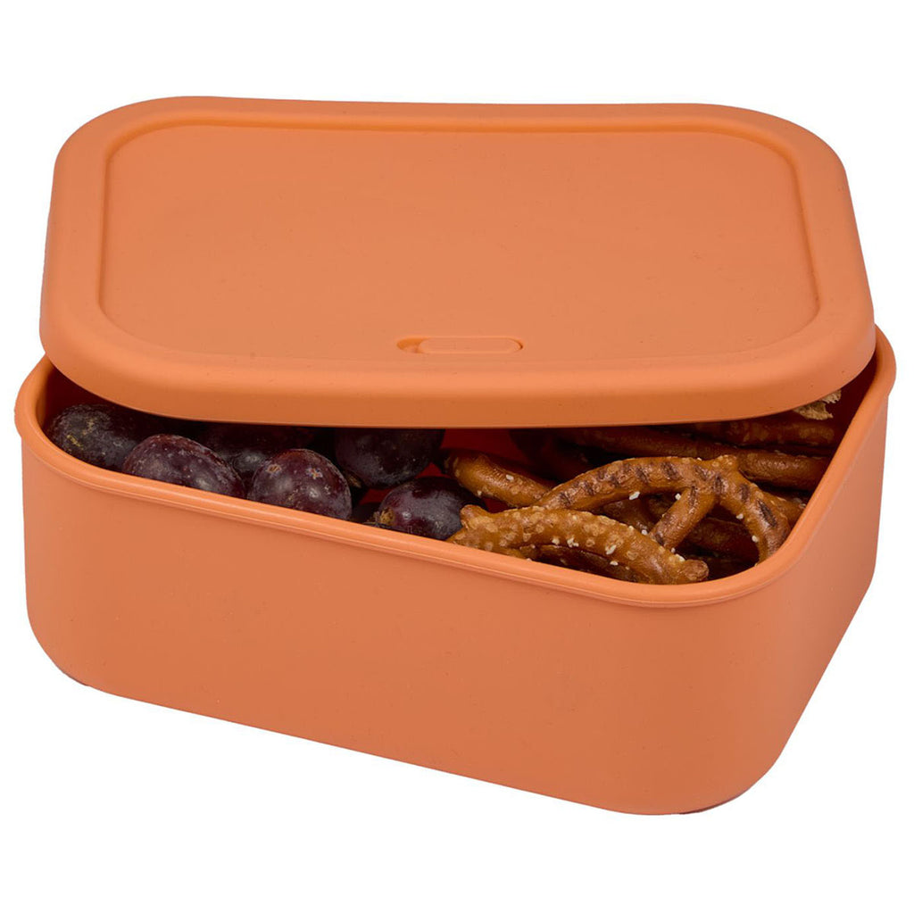 Leed's Melon Silicone Food Storage Box with Air Valve 44oz