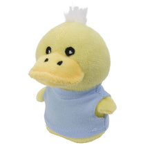 Chelsea Teddy Bear Duck Shorties - 4