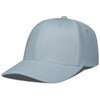 Color Pewter