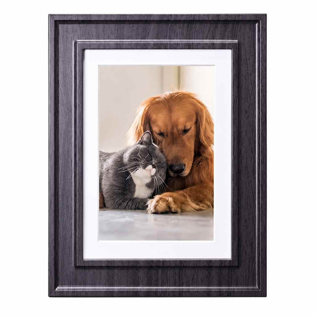 iHome Black Picture Frame with 3 USB Chargers