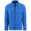 Color Royal Blue