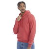 Champion Men's Scarlet Heather Hoodie