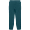 Stanley/Stella Unisex Stargazer Flyer Jogger