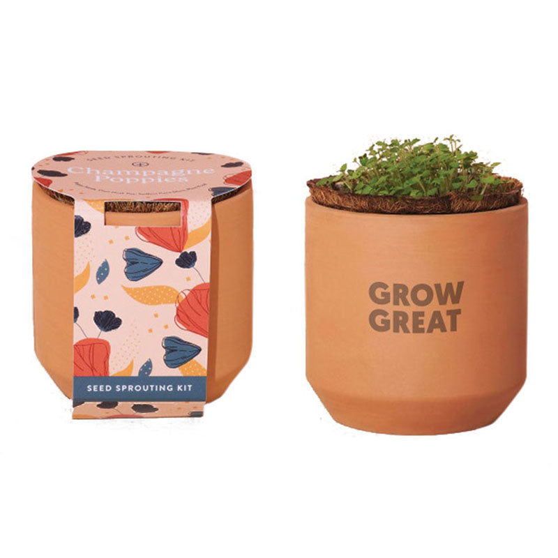 Modern Sprout Terracotta Tiny Terracotta Grow Kit Grow Kit Champagne Poppies