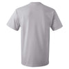 Fruit of the Loom Men's Silver HD Cotton Short Sleeve T-Shirt