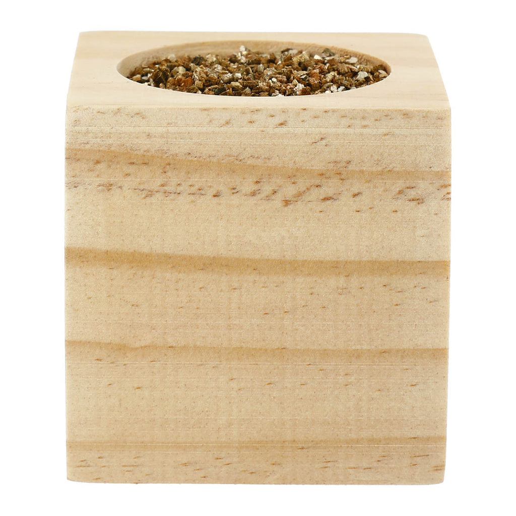 Sprigbox Wood Mint Grow Kit