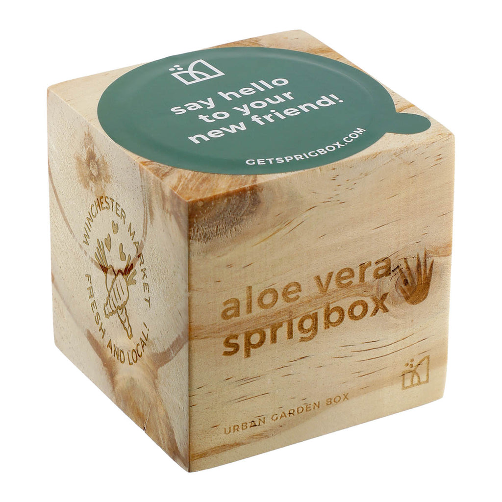 Sprigbox Wood Aloe Vera Grow Kit