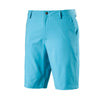 Puma Golf Men's Nrgy Turquoise Essential Pounce Golf Short