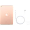Apple Gold iPad (Latest Model) with Wi-Fi - 32 GB