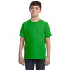 LAT Youth Apple Fine Jersey T-Shirt