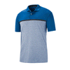 Nike Men's Gym Blue/Pure Tiger Woods Vapor Stripe Polo
