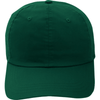 AHEAD Georgia Green Lightweight Cotton Solid Cap