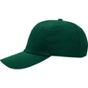 AHEAD Georgia Green Lightweight Cotton Solid Cap