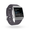 Fitbit Blue Grey/Silver Grey Ionic Smartwatch