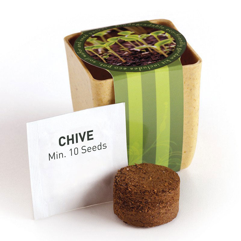 Primeline Tan Flower Pot Set with Chive Seeds