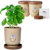 Goofy Group Tan Grow Pot Eco-Planter with Basil Seeds
