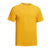 Expert Men's Yellow Physical Training T-Shirt