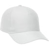 Color White