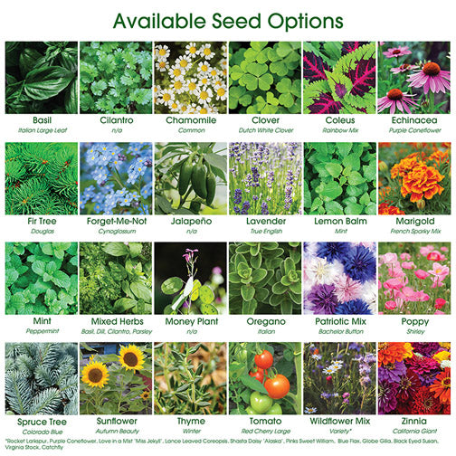 Illini Green Watering Can Kit