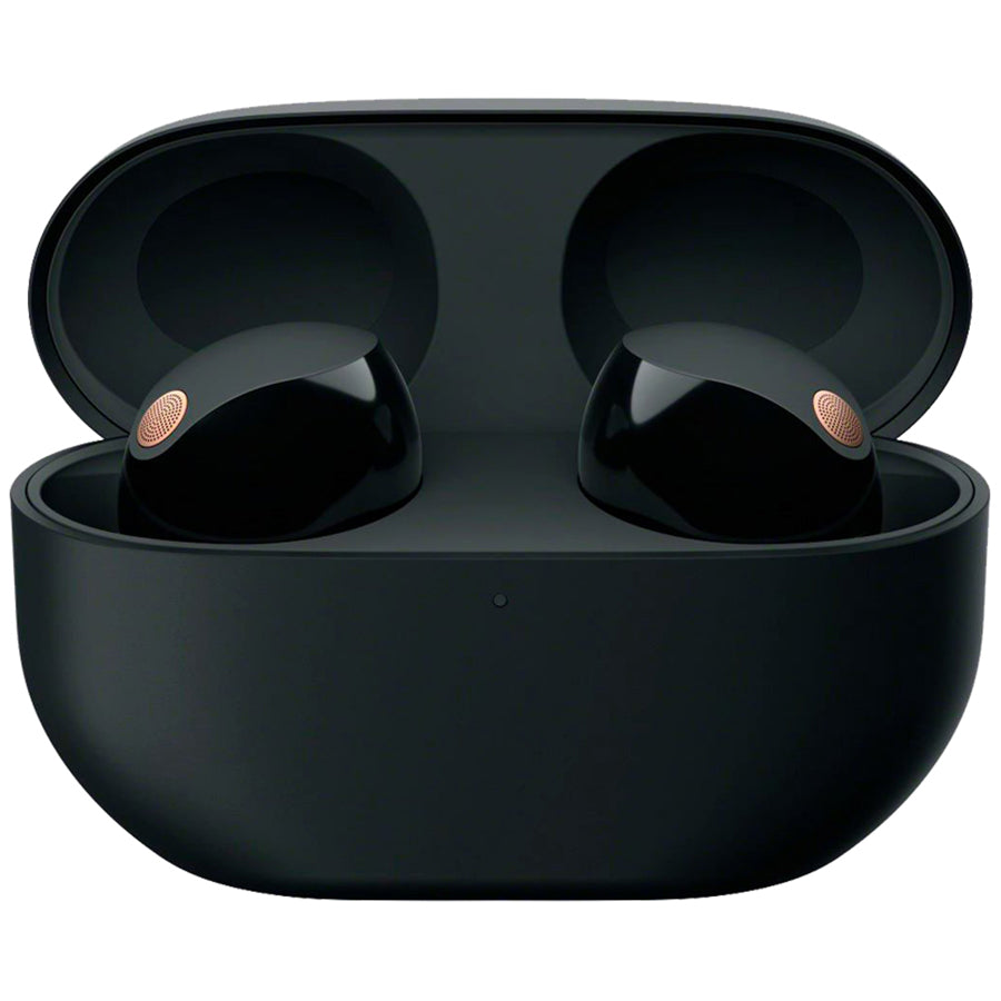 Sony Black Truly Wireless Noise Canceling Earbuds